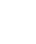 TOHOKU UNIVERSITY